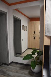 Aruu Hostel - 11