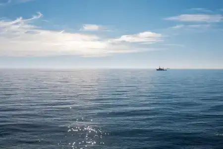 Dolphin Resort by Stellars, - 108