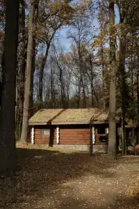 Just Wood recreation - 112