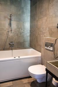 Wellion Baumansky - 146