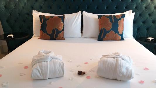 Ginkgo & Spa**** - Quimper - 62