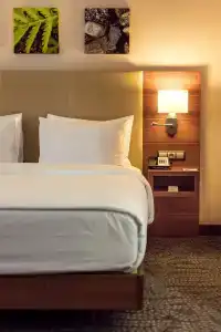 Hilton Garden Inn - 70