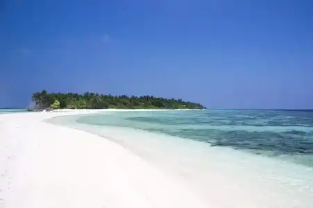 Kuri Tourist Guest House - 3