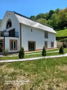 Dioscuria Borjomi Guest House - 36