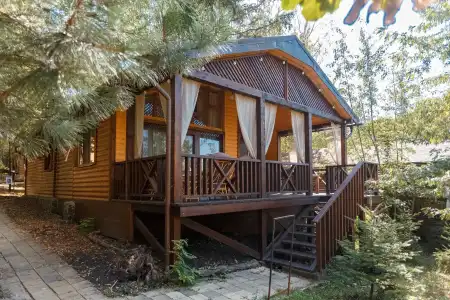 Poiana Bradului Complexier & Restaurant Resort - 20