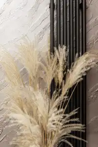 Deima - 50