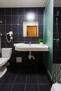 Nadezhda Park-Hotel - 12