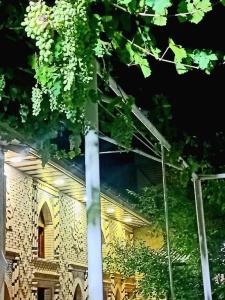 Colibri Traditional Guest House - 8