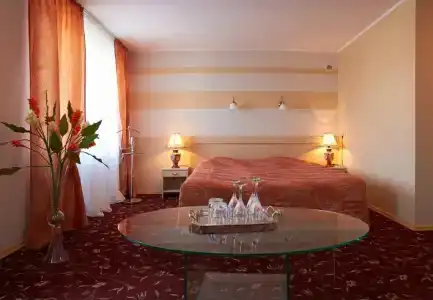 Gostinitsa Rossiya - 116