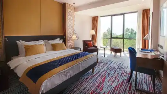 Radisson BLU - 33