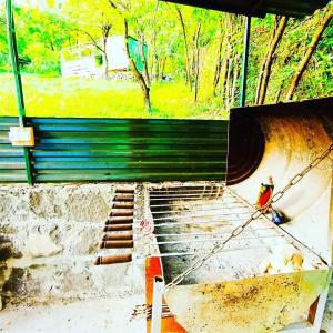 Three poplars by VL Camping - 7