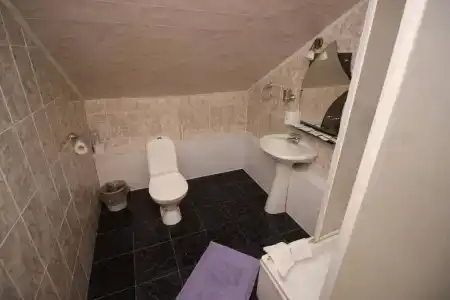 Usadba Pleshanova - 113