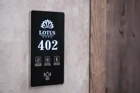 Zolotoy Lotos - 86
