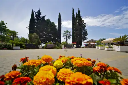 Edem Health Resort (AO KP №1) - 6