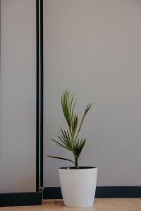 Apartment TONg Marina - 64