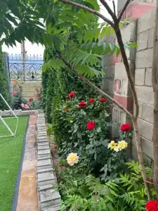 Edem Guest House - 49