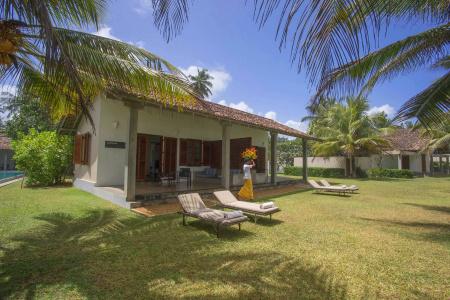 The Frangipani Tree by Edwards Collection - 37
