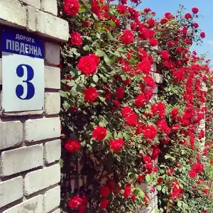 Yuzhnyij Dvorik Apart-Hotel - 33