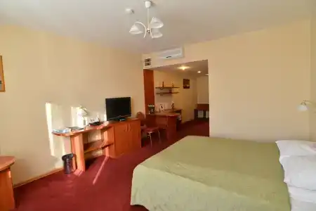 Tsentralny EuroHotel - 93