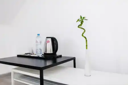 FreeDOM Premium - 149