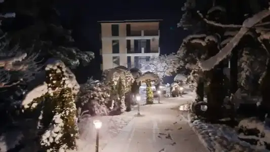 Vita Garden - 22