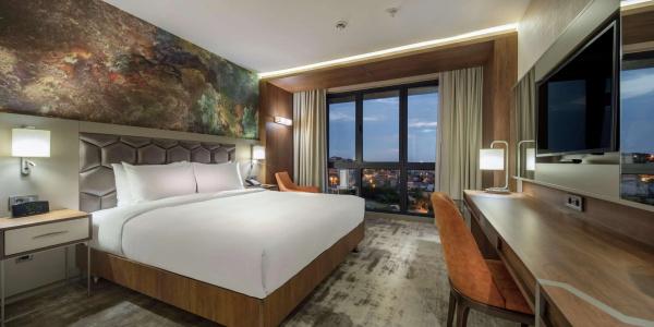 Hilton Garden Inn - 7
