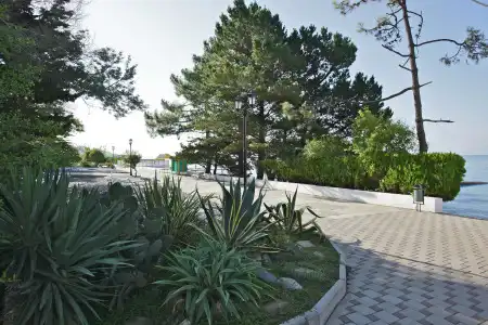 Edem Health Resort (AO KP №1) - 11