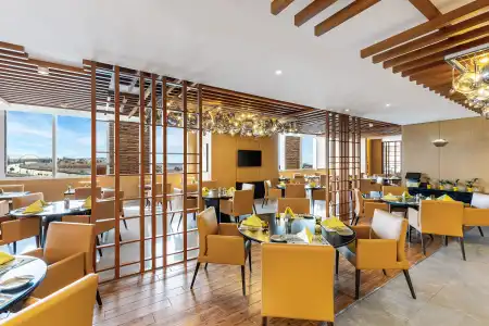 V, Curio Collection by Hilton - 4