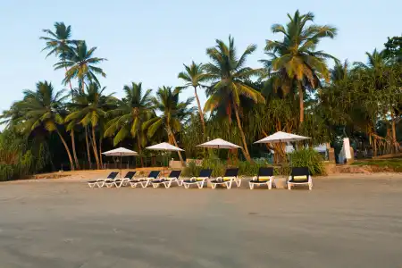 Taru Villas Mawella - 14