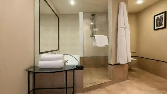 Hyatt Regency - 41