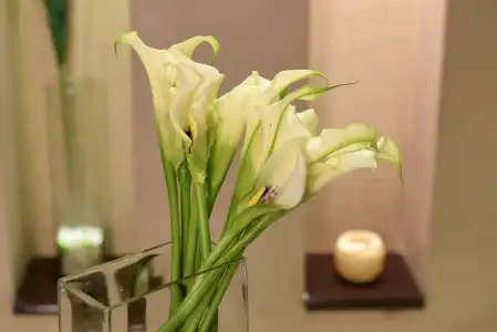 Radisson Residences Cairo Heliopolis - 31