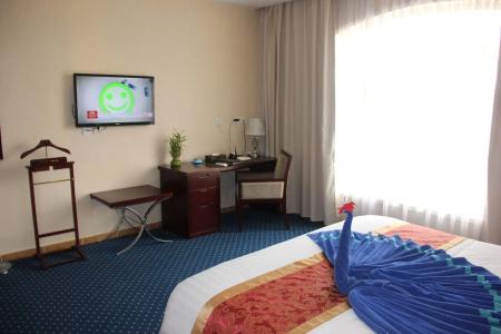 Soluxe Cairo - 17