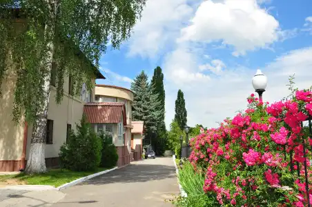 Mechta - 1