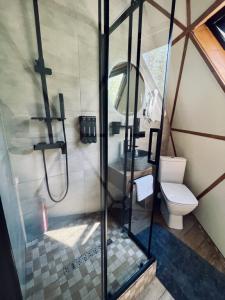 Geometrika • Lounge - 165