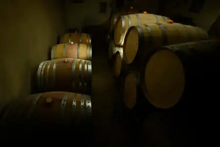 Areni Wine Art - 11
