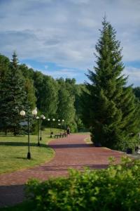 Park-Lake Aya - 7