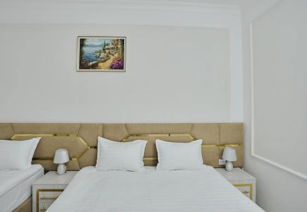 Registon Gold - 11