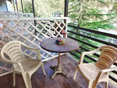 Uralskie Samotsvetyi - 208