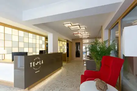 Tesla - Smart Stay - 35