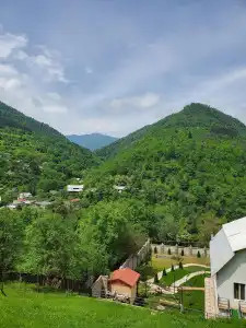 Dioscuria Borjomi Guest House - 3