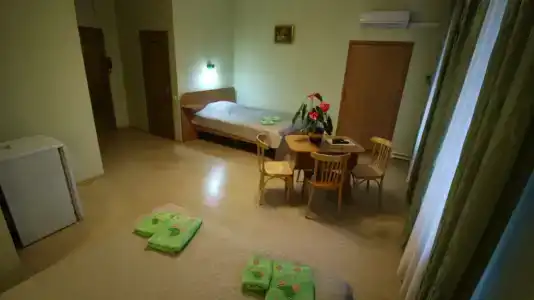 Tsarevna Lyagushka Guest house - 17