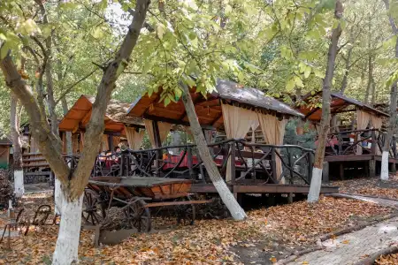 Poiana Bradului Complexier & Restaurant Resort - 3