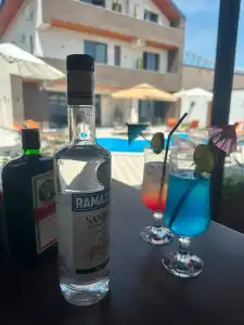 Davos - 24