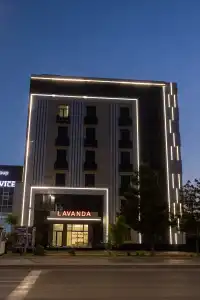 "Lavanda" - 1
