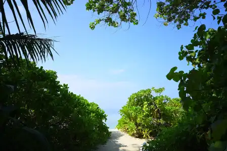 Gaia Sunrise Maldives - 8