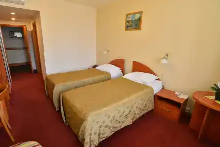 Tsentralny EuroHotel - 65