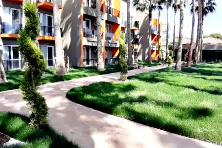Dionisus Belek - 37