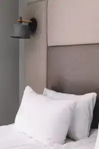 Neshalashi Lesnoy - 149