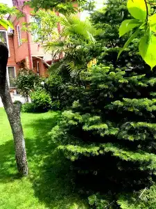 Green Garden Apartments - 22