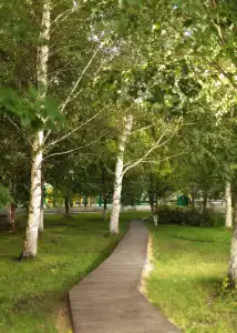 Park Almaz - 23